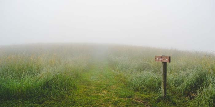 sign in middle of field with direction